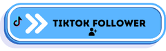 VIP Tools TikTok follower